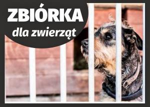 opis: zbiórka