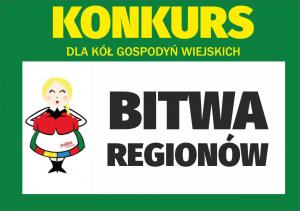 opis: bitwa