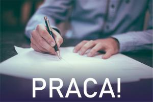 opis: praca