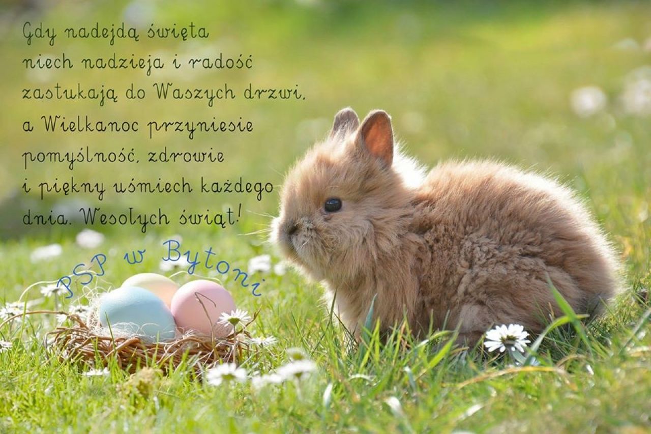 opis: życzenia