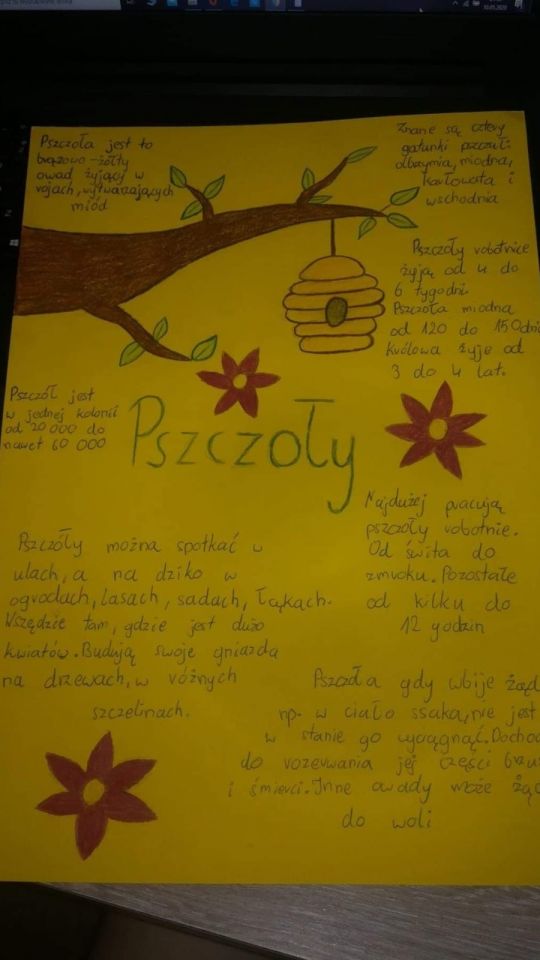 pszczoły