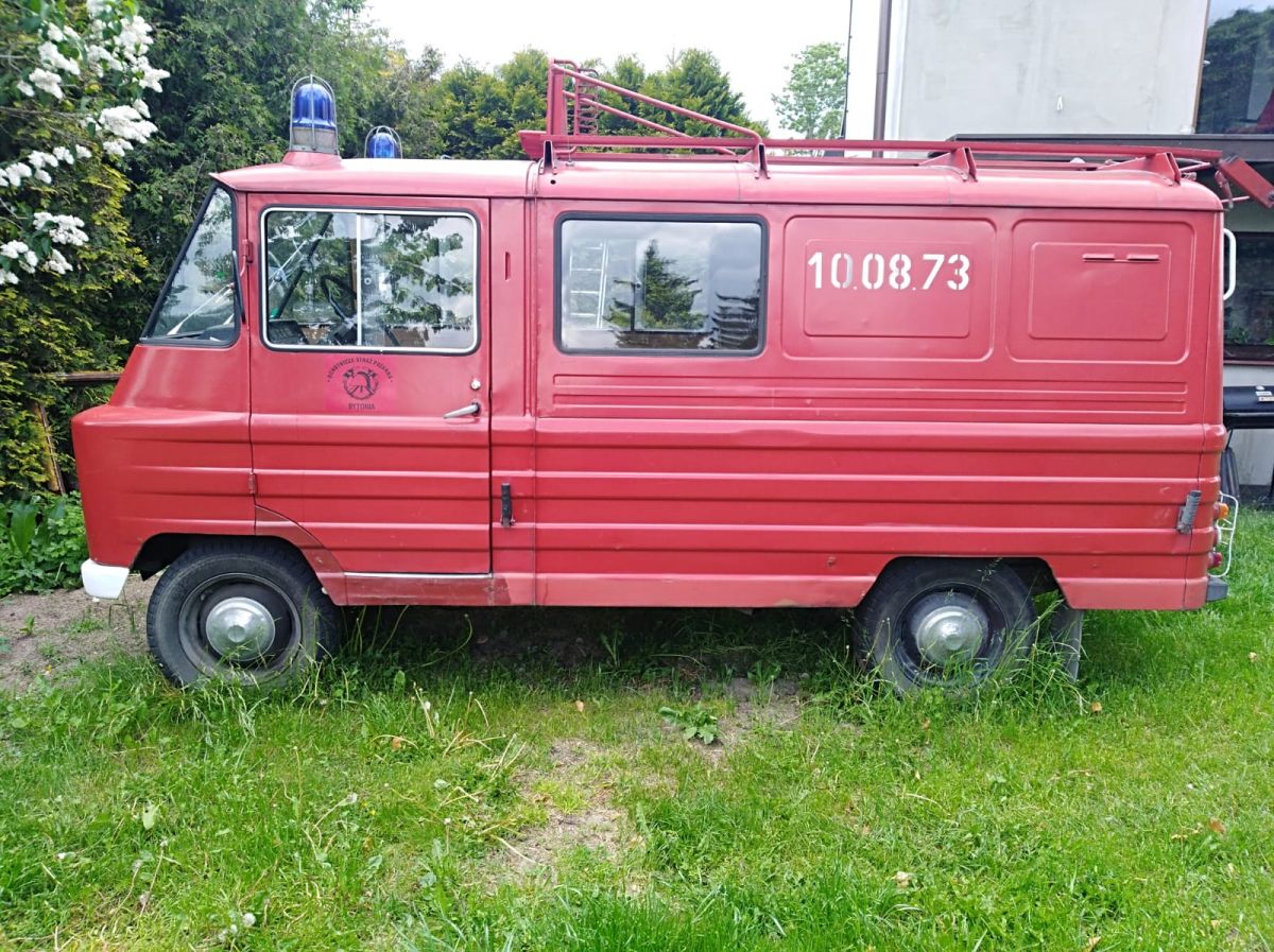 opis: żuk