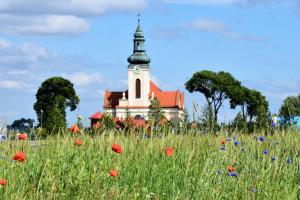 PINCZYN