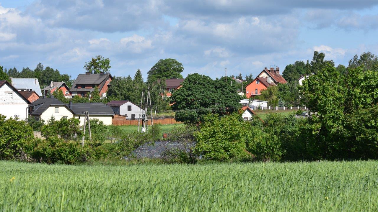 dachy domów wśród drzew latem w Pinczynie