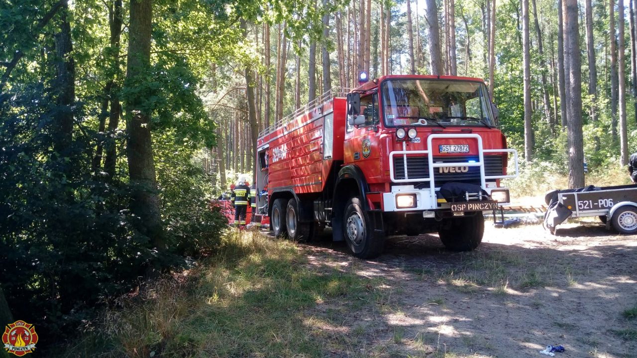 osp pinczyn