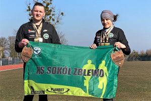 sokół