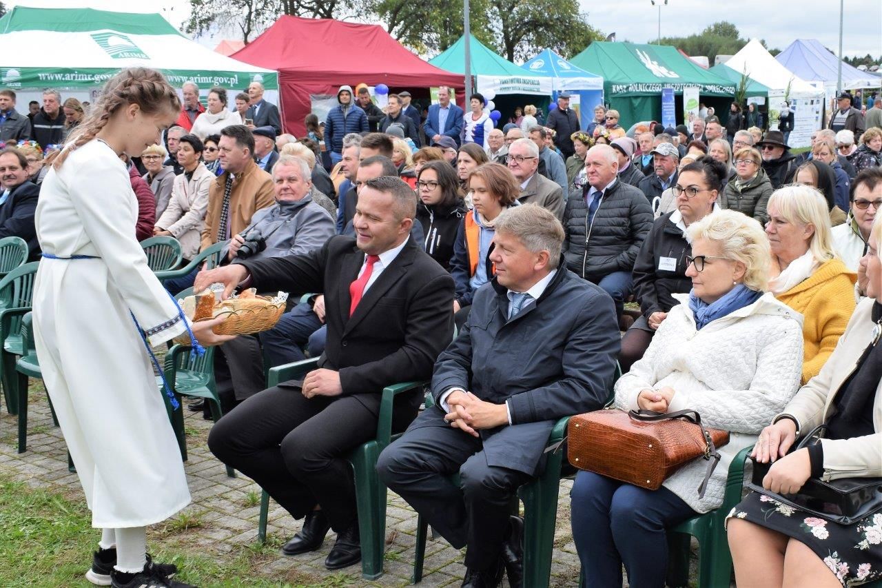 opis: dożynki