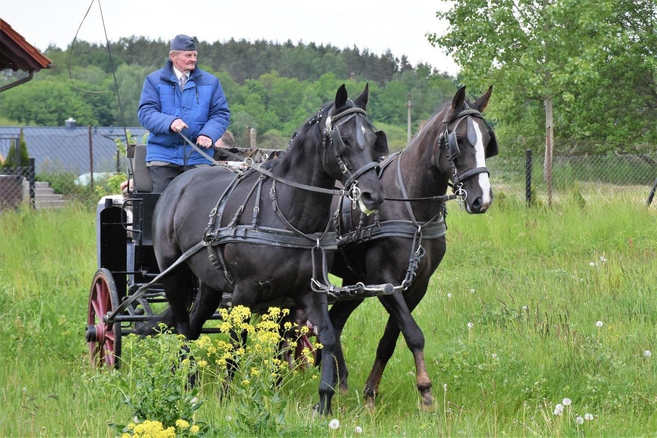 dzień dziecka karolewo