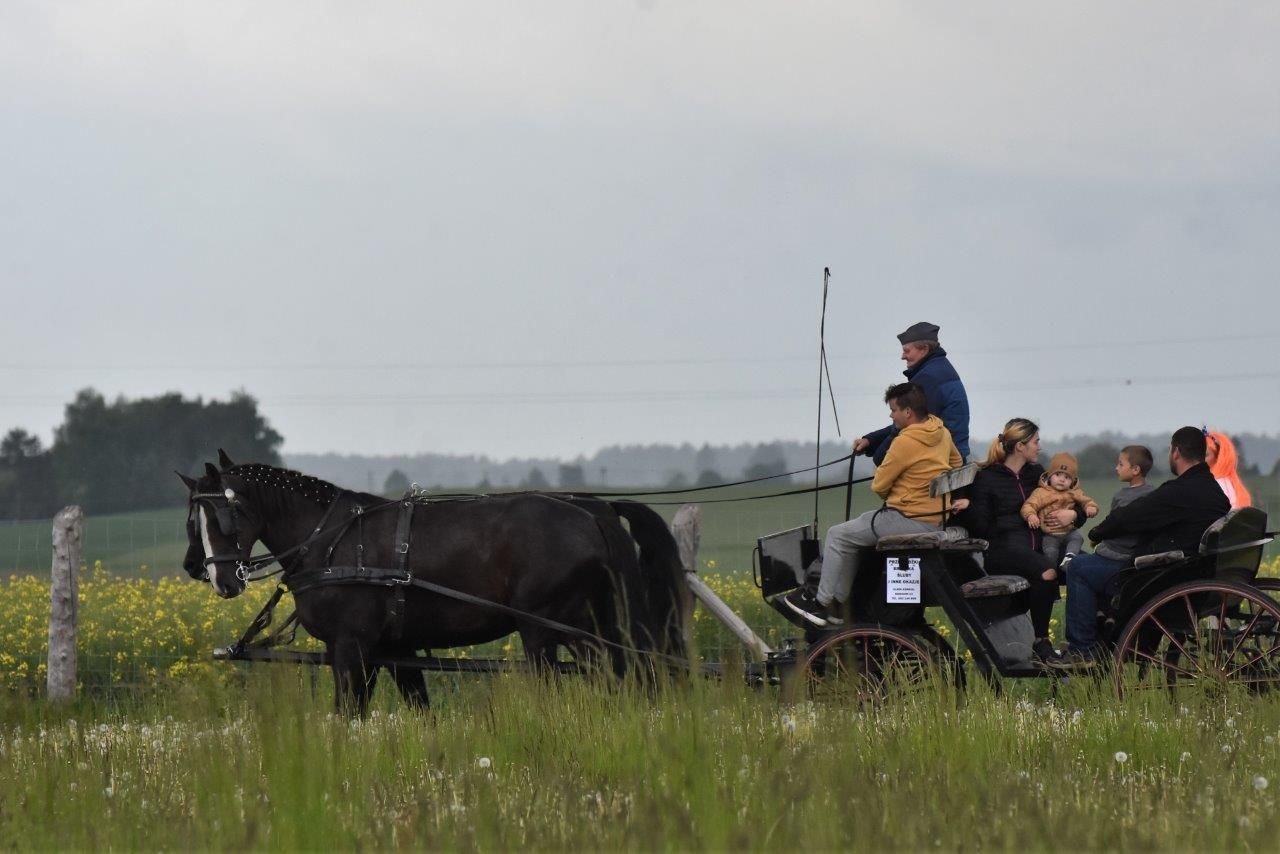 dzień dziecka karolewo