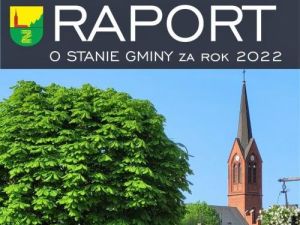 opis: raport