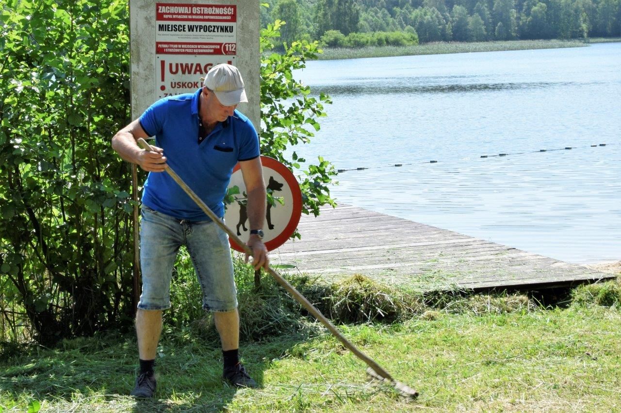 mały bukowiec