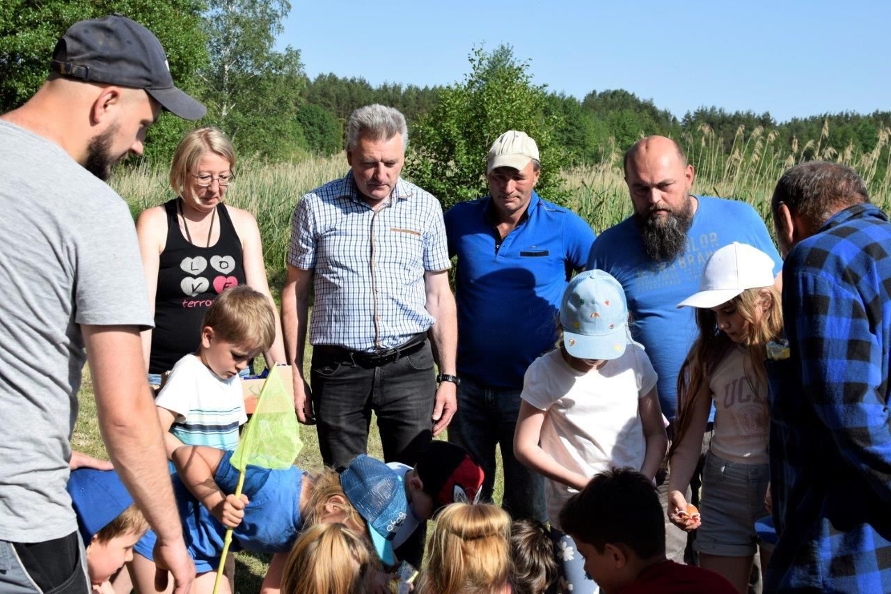 mały bukowiec