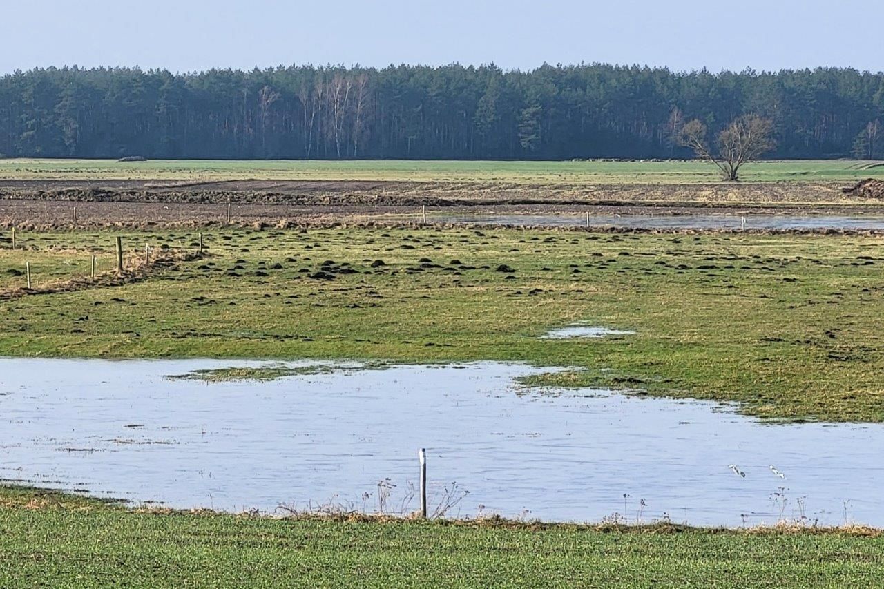 zalane wodą pola