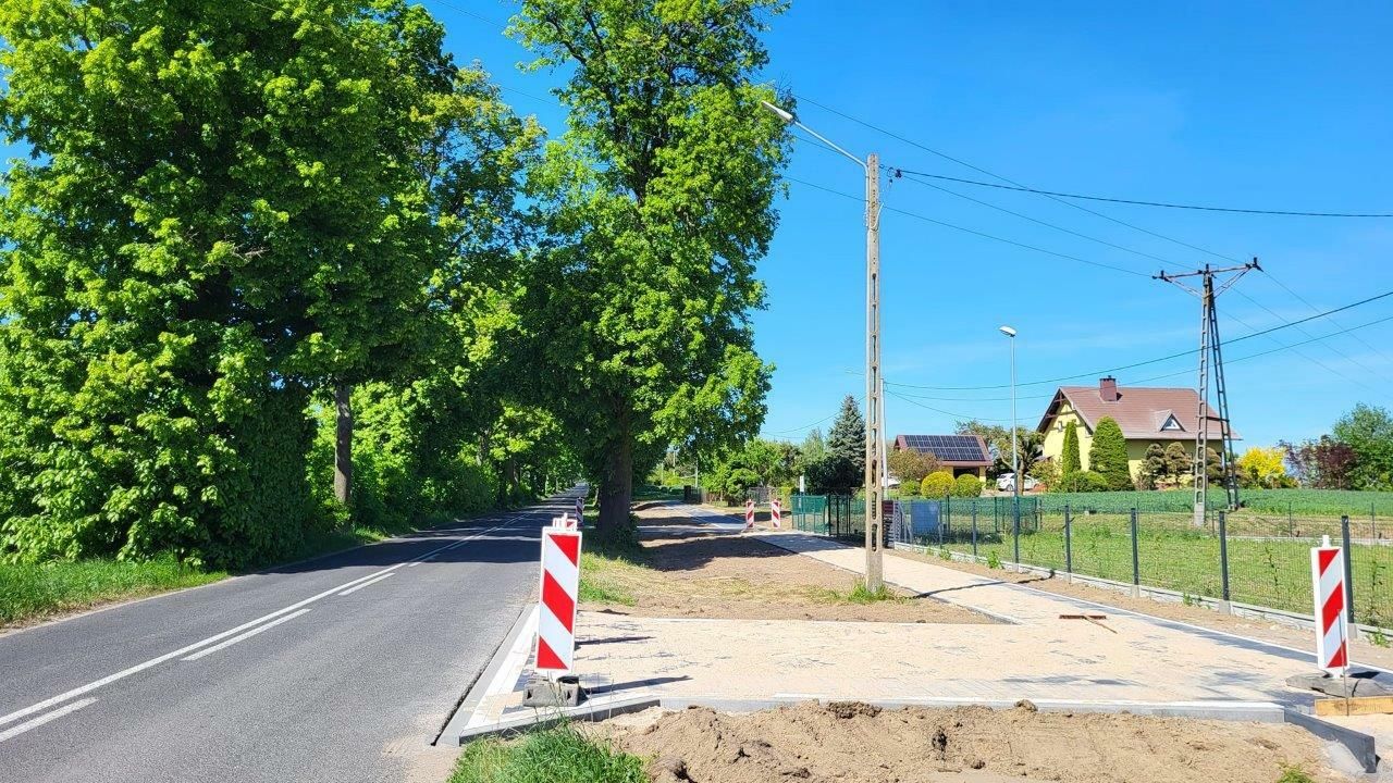 chodnik wśród drzew w Radziejewie