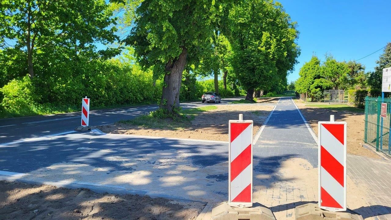 chodnik wśród drzew w Radziejewie