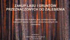 ogłoszenie zakup lasów