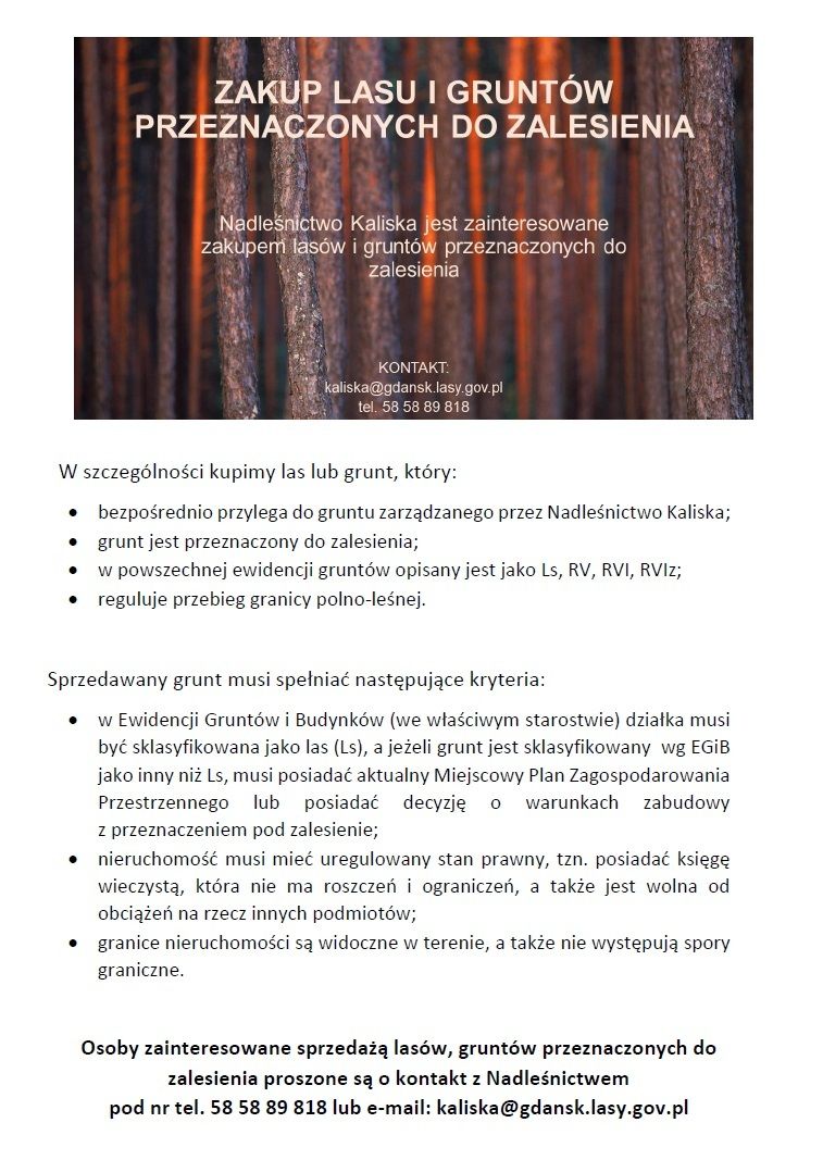 zakup lasów nadleśnictwo
