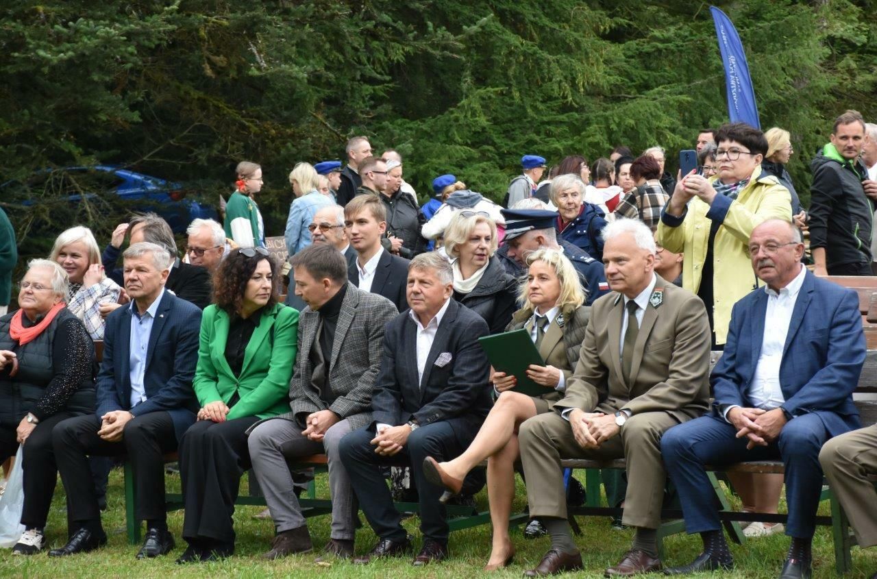 walne plachandry