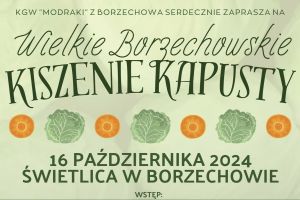 kiszenie kapusty w borzechowie