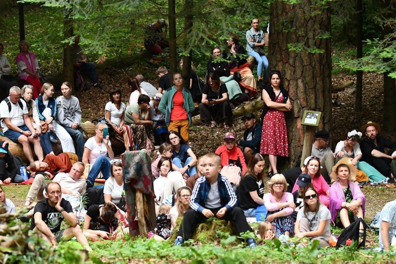 spacer z opowieściami ludzie wędrujacy przez arboretum