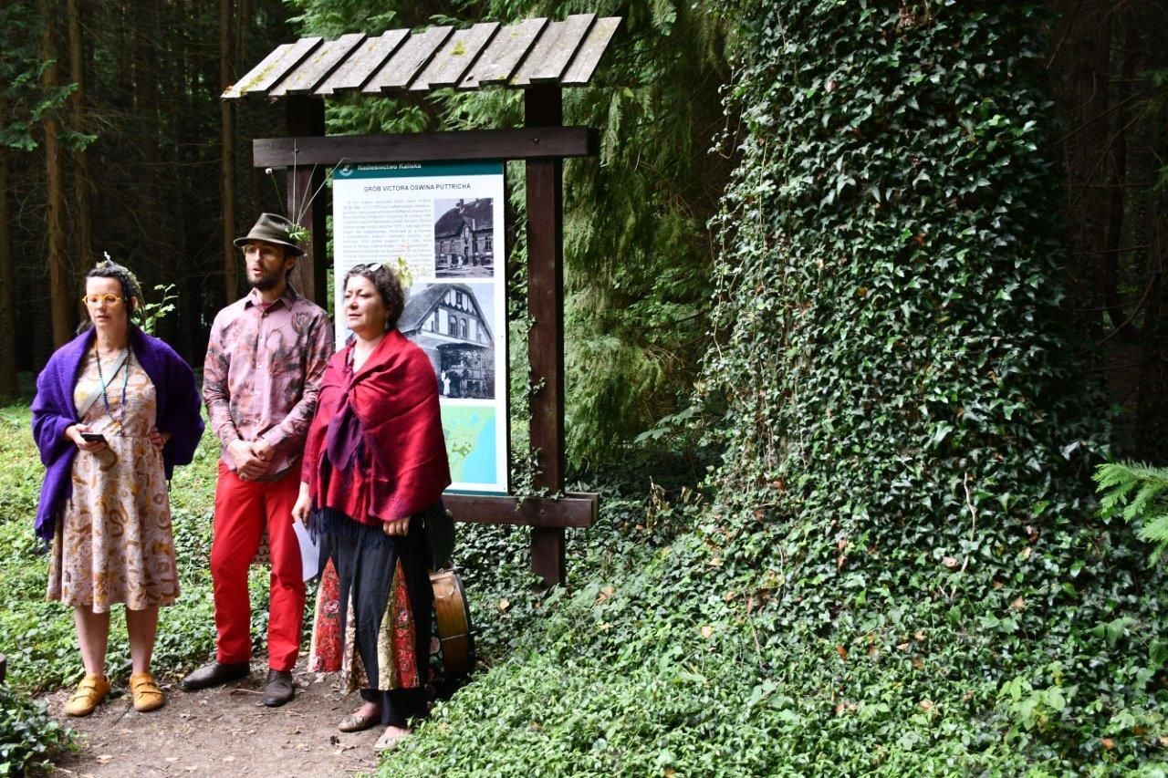 spacer z opowieściami ludzie wędrujacy przez arboretum