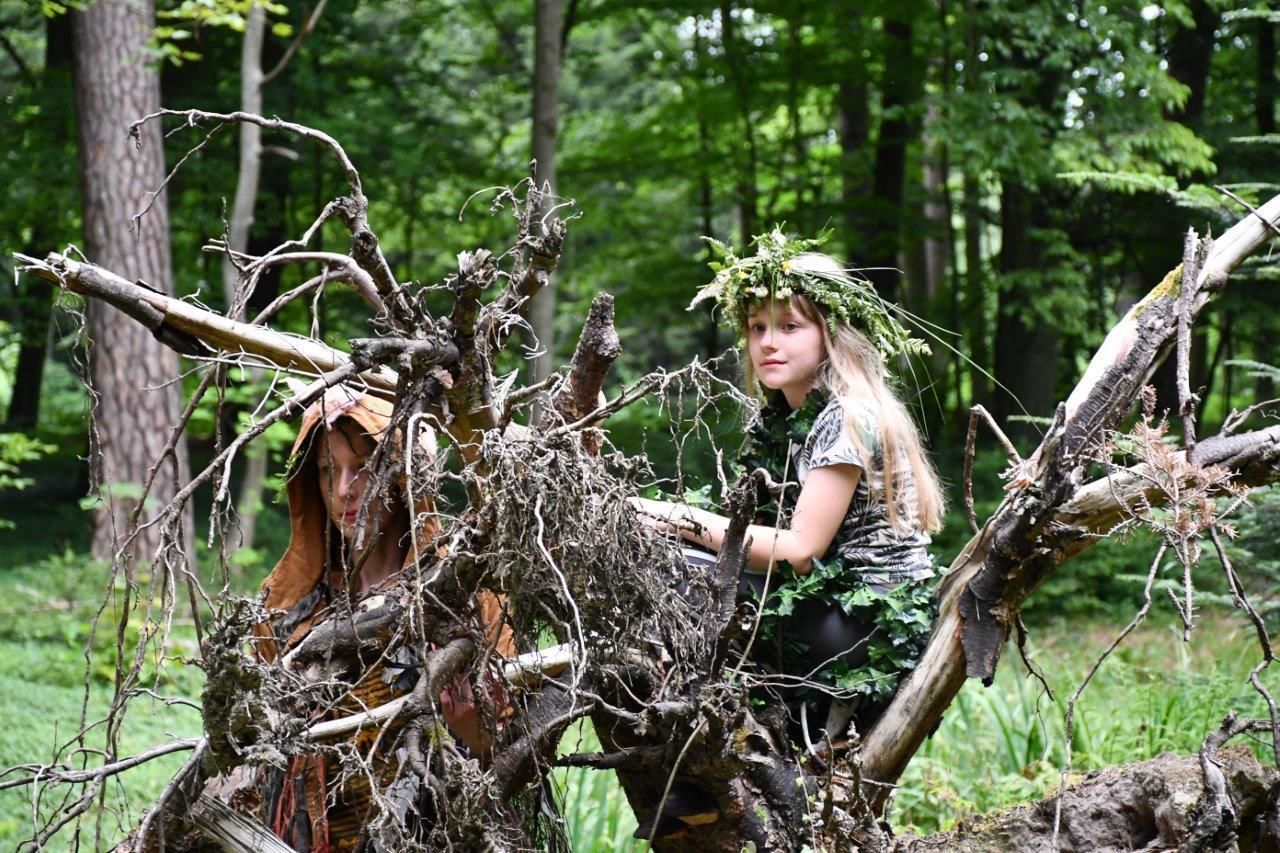spacer z opowieściami ludzie wędrujacy przez arboretum