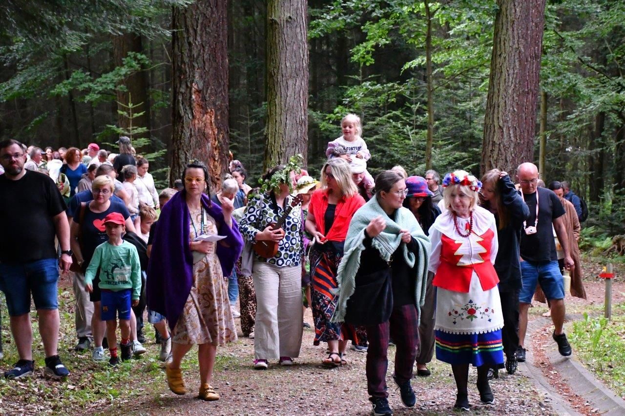 spacer z opowieściami ludzie wędrujacy przez arboretum
