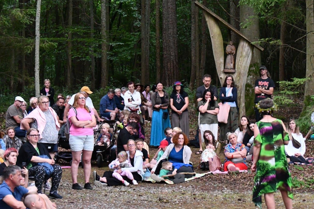 spacer z opowieściami ludzie wędrujacy przez arboretum