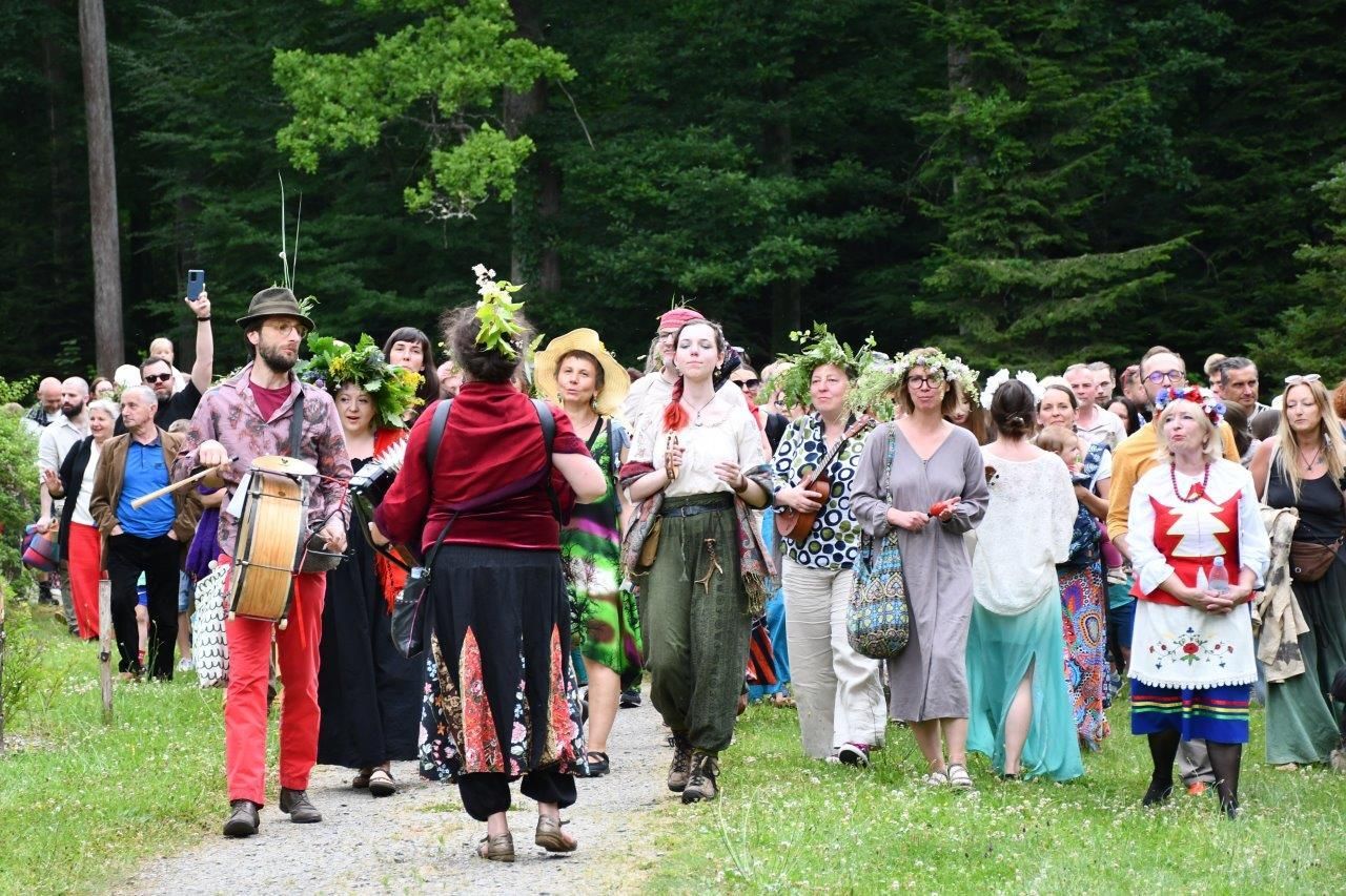 spacer z opowieściami ludzie wędrujacy przez arboretum