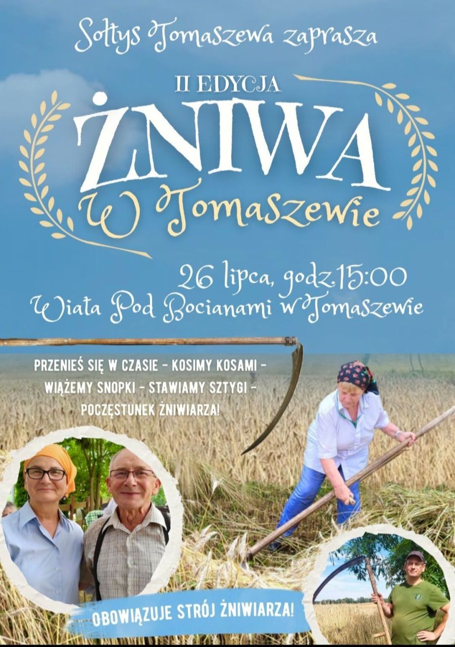 żniwa w tomaszewie