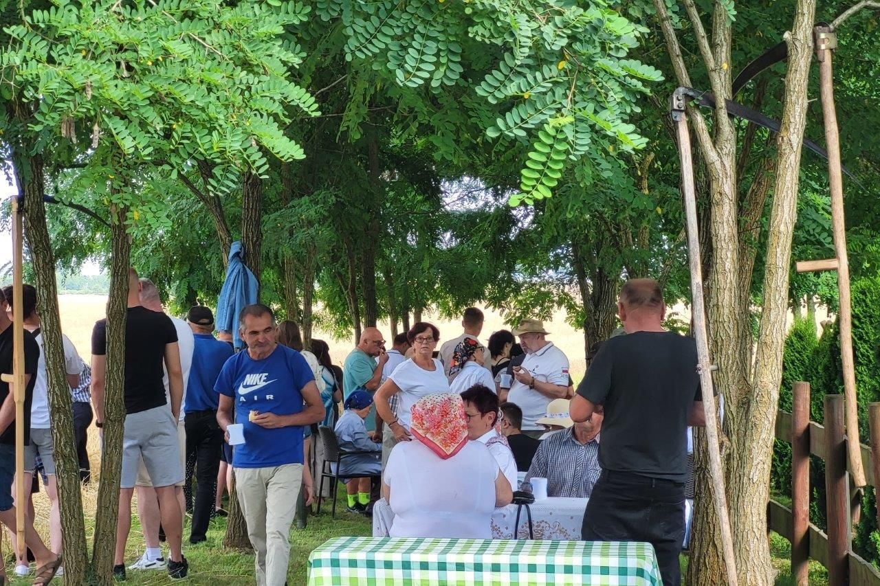 żniwa w tomaszewie