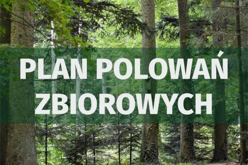 NOWA ZAKŁADKA W NASZYM SERWISIE - PLAN POLOWAŃ ZBIOROWYCH