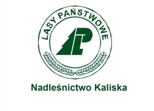 zdjęcia