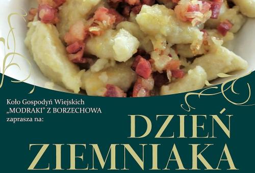 dzień ziemniaka