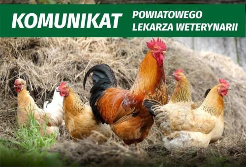 KOMUNIKAT W SPRAWIE DROBIU